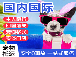 西双版纳嘎洒机场货运国际宠物托运 【国